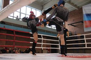 В Великих Луках прошел международный открытый Кубок по смешанному боевому единоборству (ФОТО) (16+)