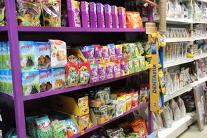 «Zooбастики»: подарите праздник своим любимцам! (ФОТО+ВИДЕО)