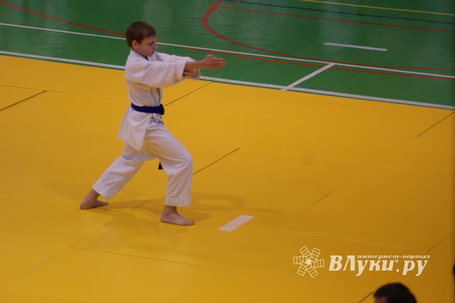 В Великих Луках прошли соревнования по каратэ (ФОТО)