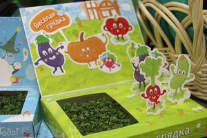 «Золотая Репка» удивляет! (ФОТО)