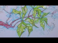 Импульс-ТВ: Выставка в «Мире искусств»