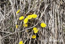 Март снова включает обогрев