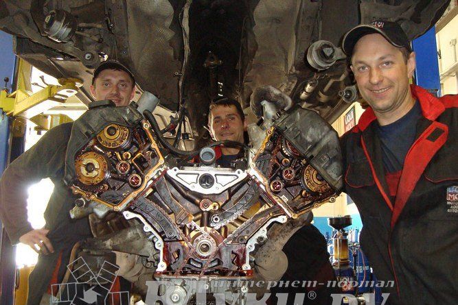 «Ликви Моли» проводит акцию к Дню автомобилиста (ФОТО)