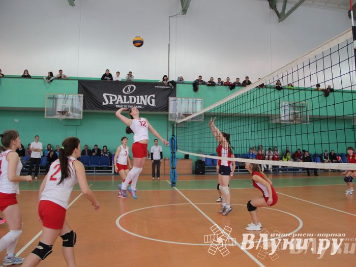 В Великих Луках прошли международные соревнования по волейболу (фото)