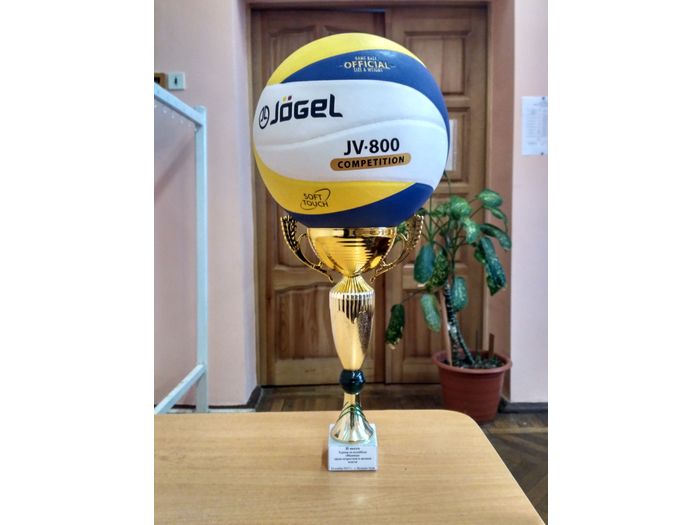 В Великих Луках прошел турнир по волейболу среди подростков и сотрудников органов власти (ФОТО)