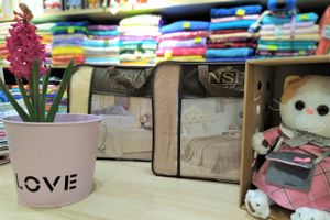 Кот Барон приготовил подарки для женщин