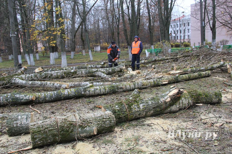 Возле железнодорожной больницы облагораживают сквер (ФОТО)