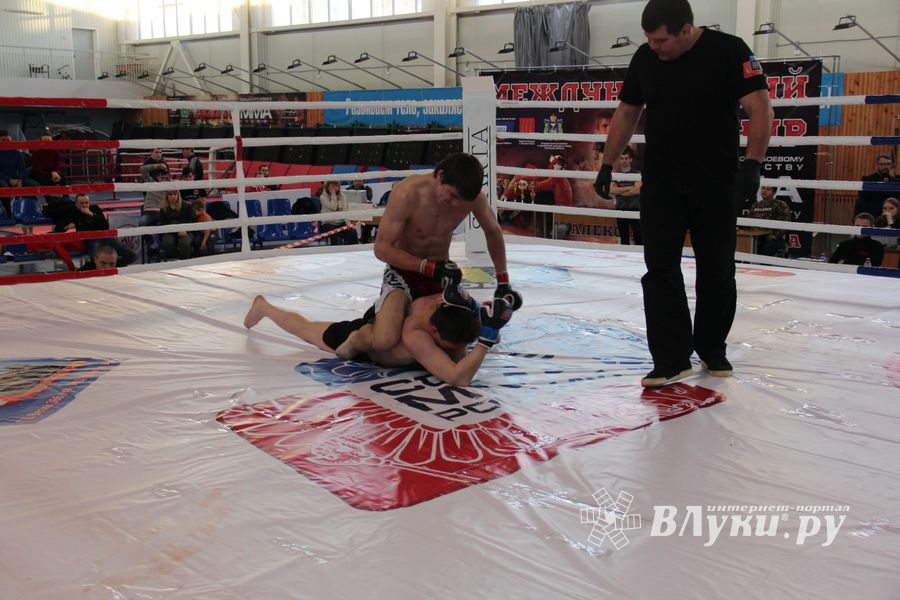 В Великих Луках завершился открытый кубок по смешанному боевому единоборству ММА (ФОТО)