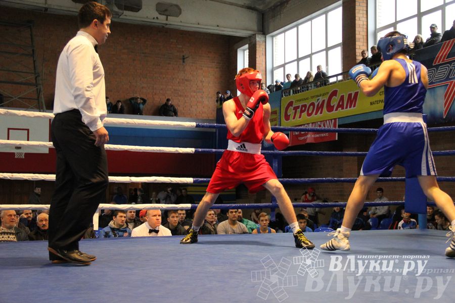 16-й Международный турнир по боксу (фото)