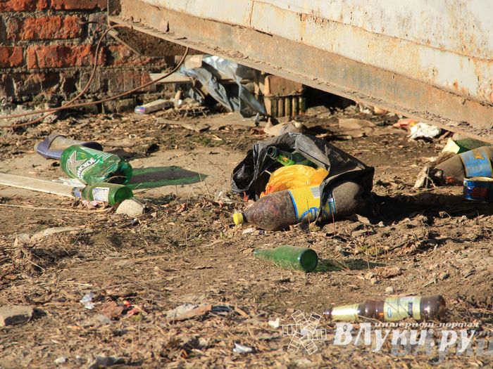 Город в ожидании субботника