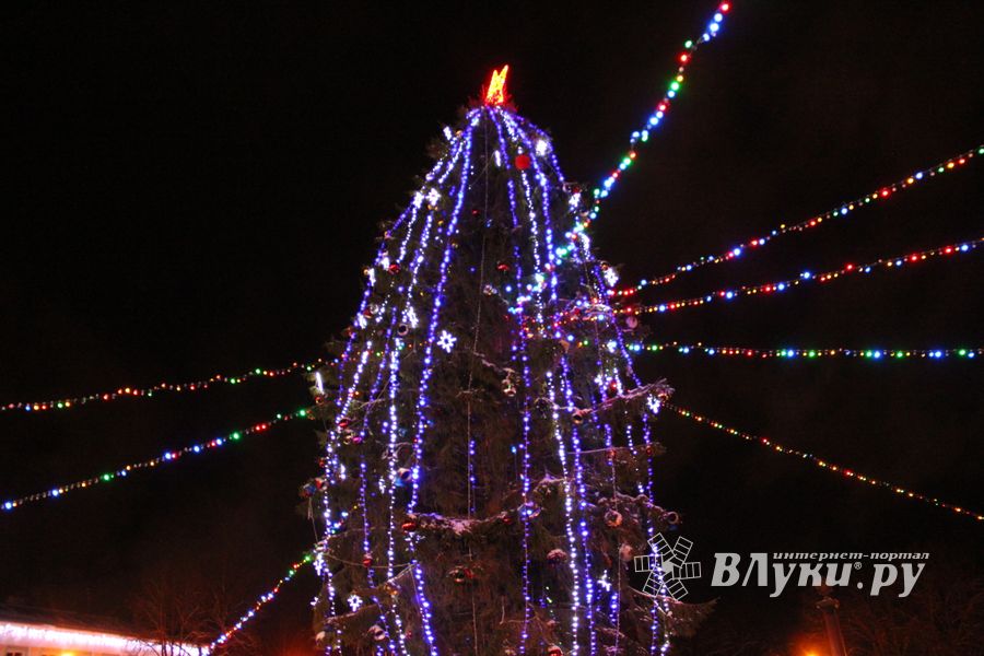 В Великих Луках петуха сменили на собак (ФОТО)