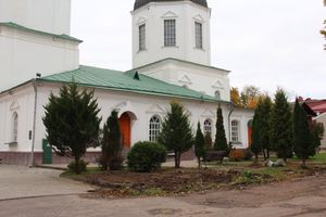 Куда исчезли пихты у Свято-Вознесенского собора в Великих Луках