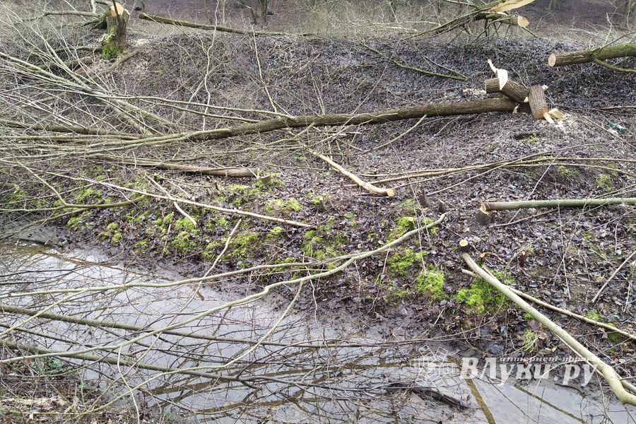 В Великих Луках приступили к строительству парка «Петровский» (ФОТО)