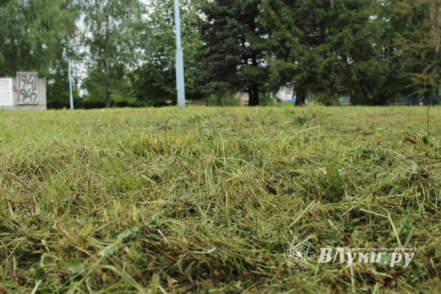 В Великих Луках убрали территорию у памятного знака рабочим ЛРЗ (ФОТО)