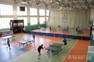 Настольный теннис. Лучший из великолучан лишь шестой (фото)