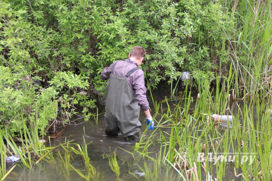 «Партия Дела» делает дело