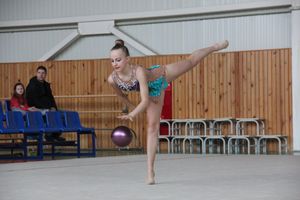 В Великих Луках прошли соревнования по по художественной гимнастике (ФОТО)