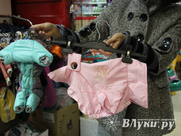 «Zooбастики»: подарите праздник своим любимцам! (ФОТО+ВИДЕО)