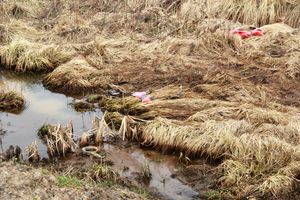 ДТП на трассе М-9: дорожные рабочие и гости из Волгограда (ФОТО)