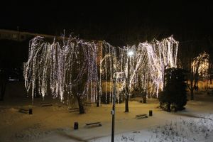 © ВЛуки.ру