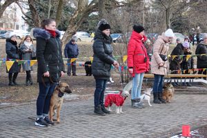 В Великих Луках широко отметили Масленицу (ФОТО)
