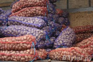 ​Универсальная торговая ярмарка «Осень – 2014» состоялась  в Великих Луках