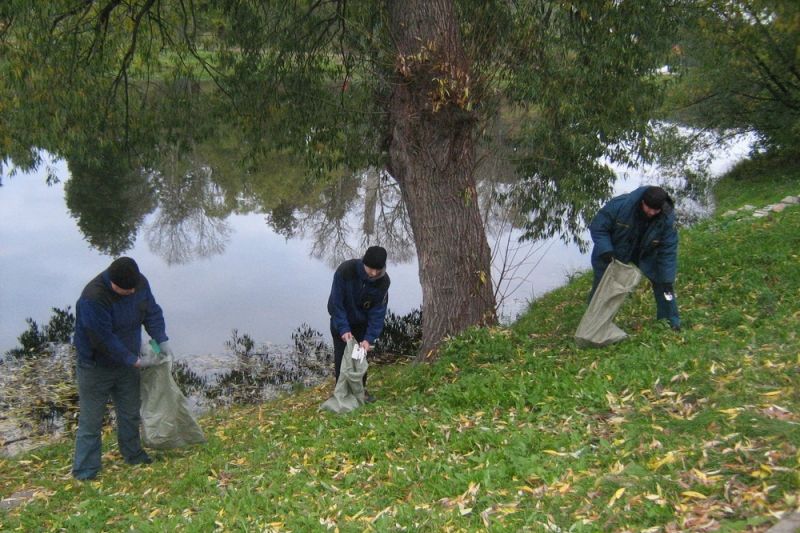 «Чисто не там, где убирают, а там где не сорят!» (фото)