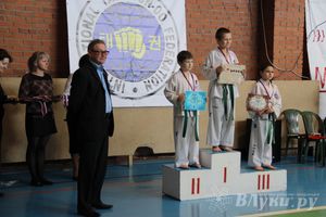 В Великих Луках прошло Первенство по тхэквондо (фото)