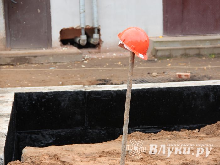 В скором времени нерадивых великолучан станет проще изолировать (ФОТО)
