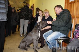 Всероссийская выставка собак в Великих Луках (фото)