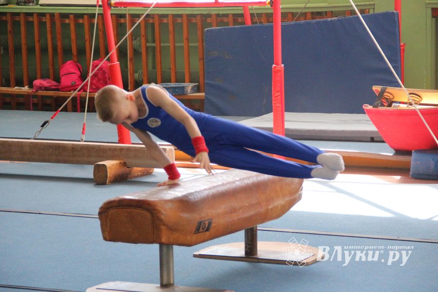 В Великих Луках проходит открытое первенство по спортивной гимнастике (ФОТО)