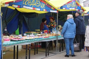 В Великих Луках прошла универсальная ярмарка «Весна-2019» (ФОТО)