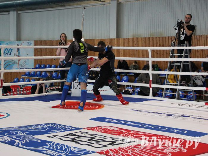 Открытый кубок по смешанному боевому единоборству ММА прошел в Великих Луках (ФОТО)