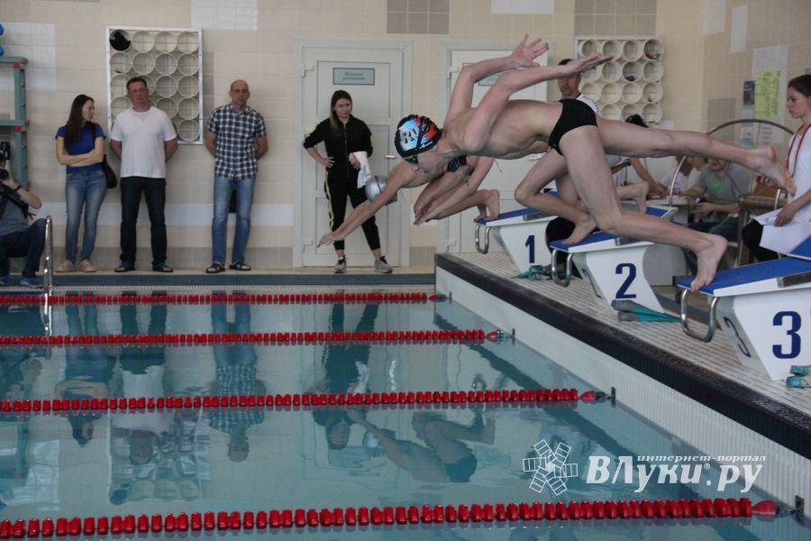 В «Айсберге» прошло Первенство города по плаванию (ФОТО)