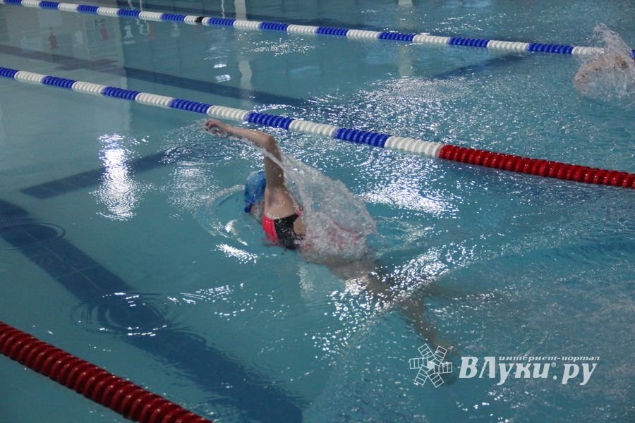 В Великих Луках прошло Первенство города по плаванию (ФОТО)