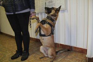 В Великих Луках проходит акция «Сообщи где торгуют смертью» (ФОТО)