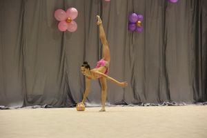 В Великих Луках завершился первый день соревнований Открытого Первенства города по художественной гимнастике (ФОТО) (0+))