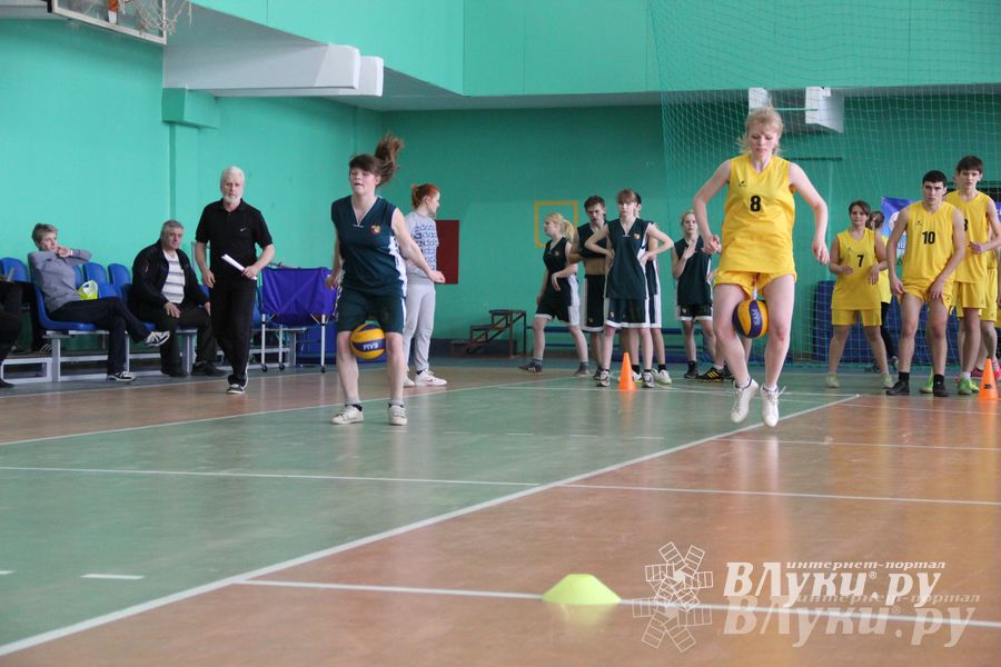 В Великих Луках прошли соревнования на Кубок Красного Креста