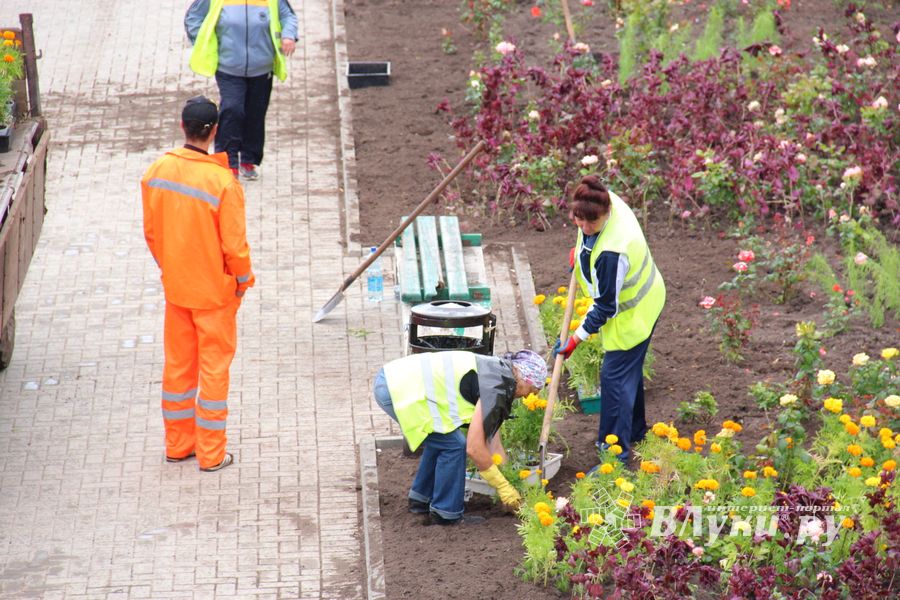 В Великих Луках сажают, стригут и красят (ФОТО)