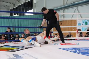 Открытый кубок по смешанному боевому единоборству ММА прошел в Великих Луках (ФОТО)