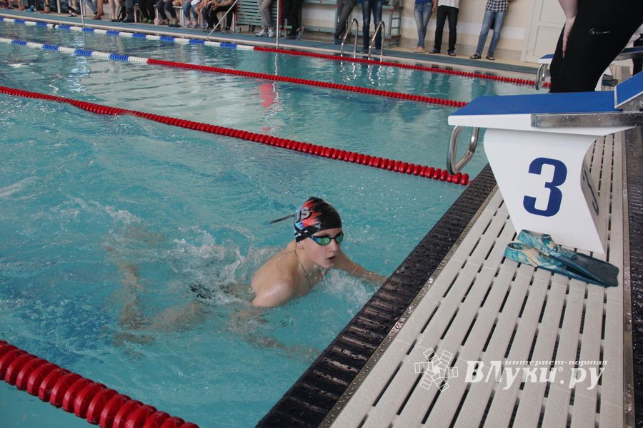 В «Айсберге» прошло Первенство города по плаванию (ФОТО)