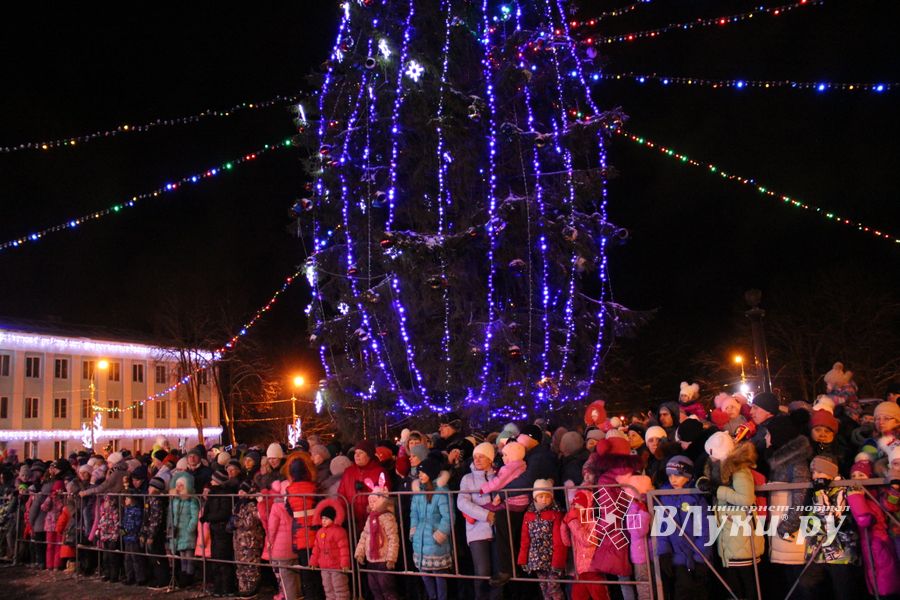 В Великих Луках петуха сменили на собак (ФОТО)
