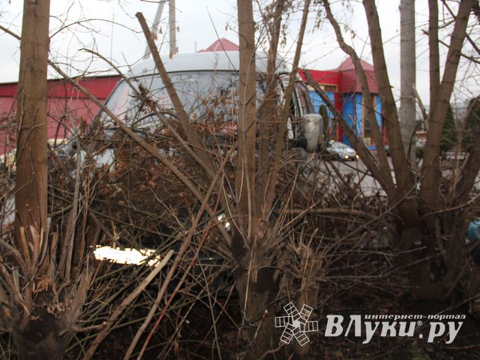 Нетрезвый водитель устроил ДТП на улице Мурманской (ФОТО)