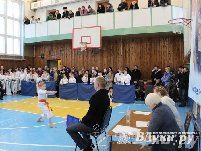 В Великих Луках прошел Открытый чемпионат Псковской области по каратэ