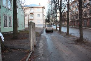 В Великих Луках дерево упало на проезжую часть 