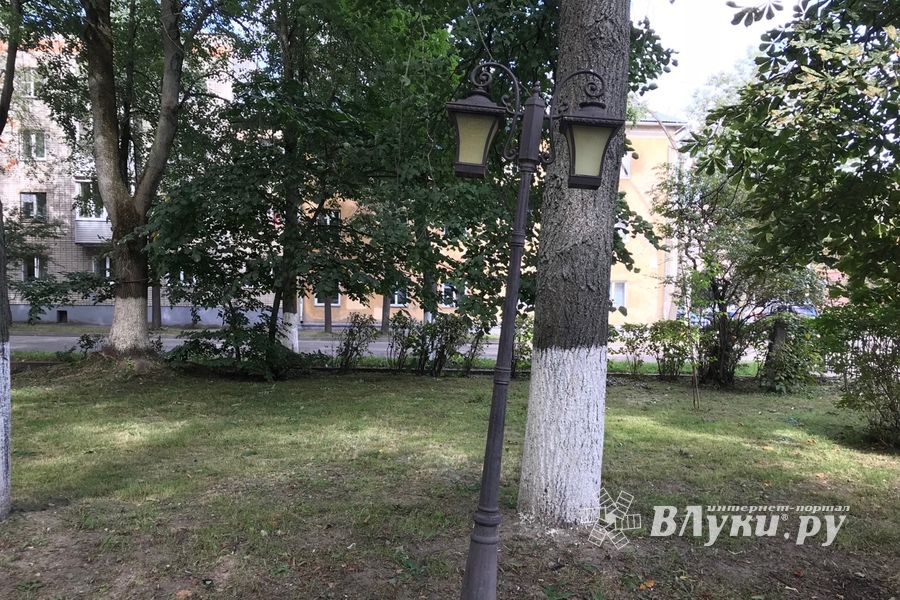 Парк Пушкина: «... А вкруг меня глухое запустенье...» (ФОТО)