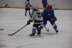 Детский турнир по хоккею прошел в Великих Луках (ФОТО)