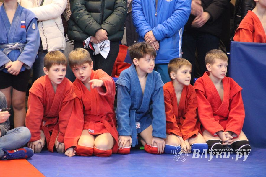 В Великих Луках проходит турнир самбистов (ФОТО)