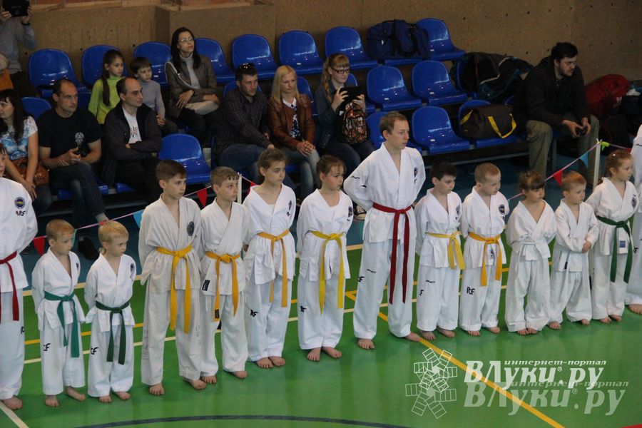 В Великих Луках прошло Первенство по тхэквондо (фото)