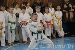 В Великих Луках прошел Открытый чемпионат Псковской области по каратэ